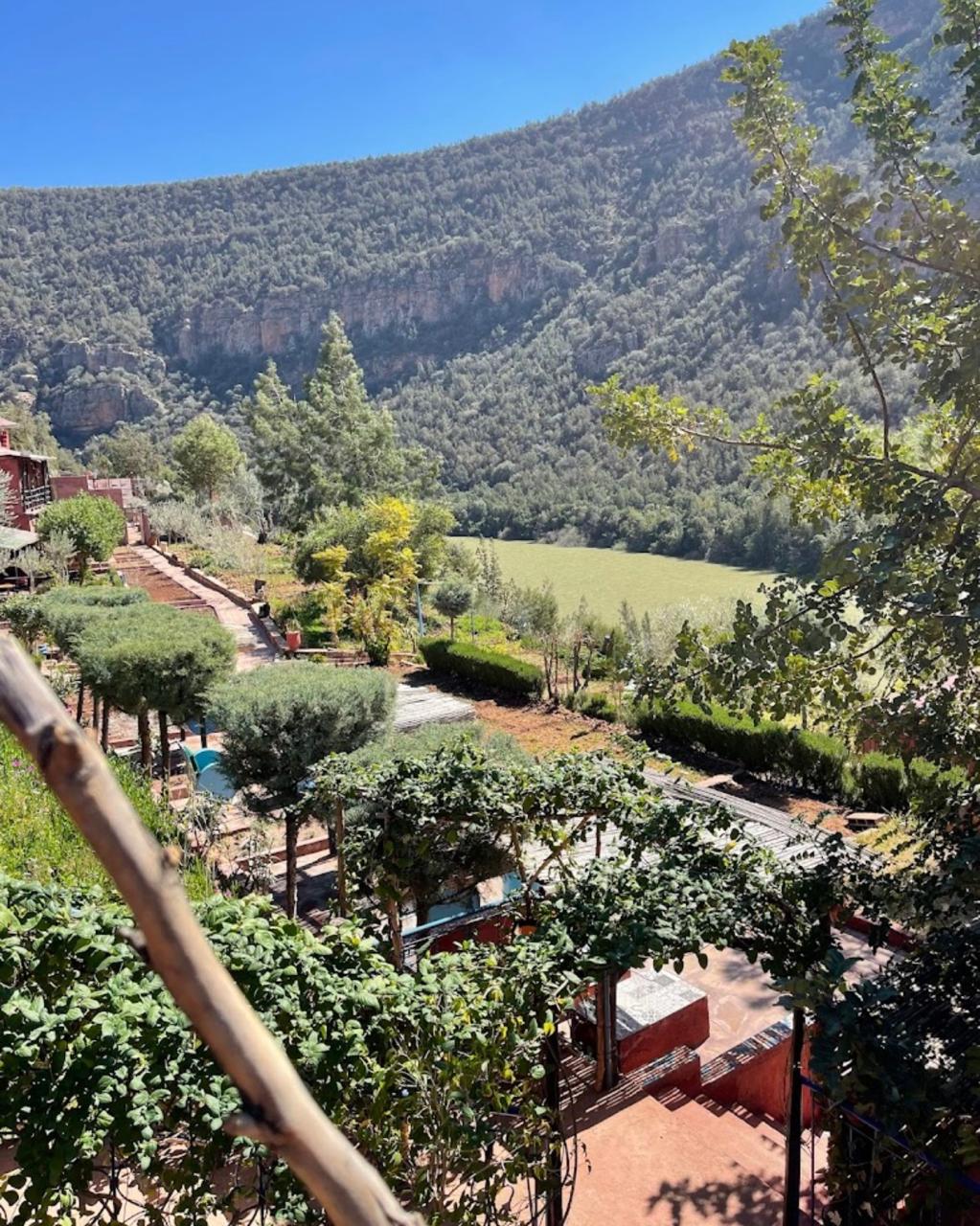 WhatsApp Image 2025-10-21 at 14.19.04 (6)